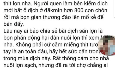 Bị phạt 10 triệu đồng vì bịa đặt thông tin đào 800 con heo bệnh lên bán