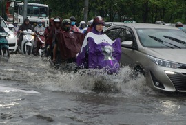 TP HCM chốt thuê