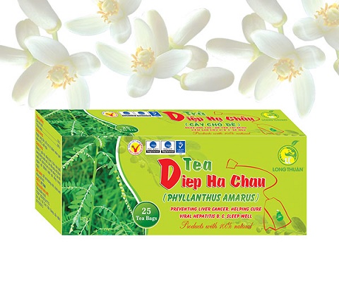 Trà Diệp Hạ Châu và Trà Hoa Bưởi – Uống chơi mà khỏe thật!