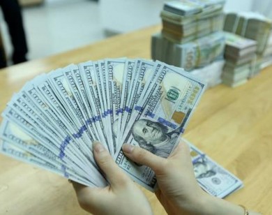 Tỷ giá USD hôm nay 26/6: Giá USD giảm không ngừng