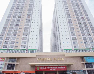 TP Hồ Chí Minh: Nhiều sai phạm tại dự án Oriental Plaza