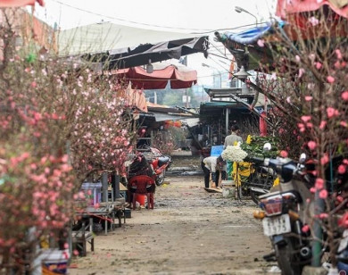 Chợ Tết ở Hà Nội vắng khách 