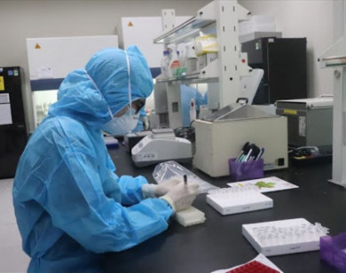 Covid-19 sáng ngày 3/7/2021: Việt Nam có 239 ca mắc mới, TP Hồ Chí Minh nhiều nhất với 215 ca