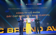 Tiếp tục tôn vinh những