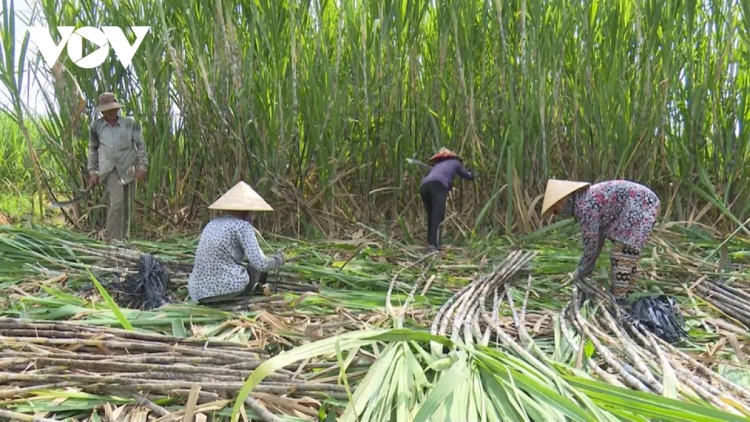 Việt Nam có nguy cơ bị phụ thuộc vào đường nhập khẩu?