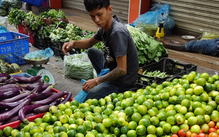 Nắng nóng, chanh không hạt tăng giá mạnh