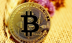 Giá Bitcoin hôm nay 25/5: Bitcoin vùng lên giữa nỗi lo sụp đổ