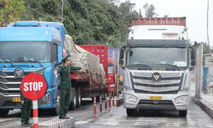 Tạm dừng áp dụng Nghị định 46 về an toàn thực phẩm đến hết 15/4